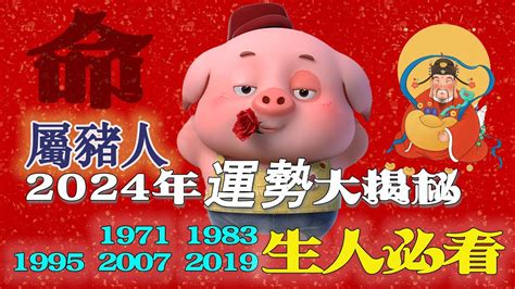 1995屬豬|【1995 屬豬】1995屬豬：人生轉捩點揭秘！一生運勢大解析